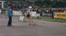 bild3