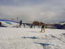 bild17