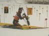 bild11