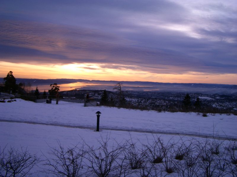 bild19